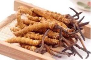 Thành phần và công dụng của kem đông trùng hạ thảo