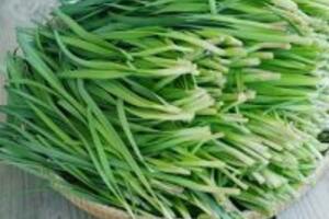 Bài thuốc chữa liệt dương từ rau hẹ bạn có biết?