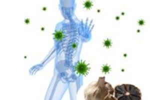 Tỏi đen – tăng cường miễn dịch hệ hô hấp