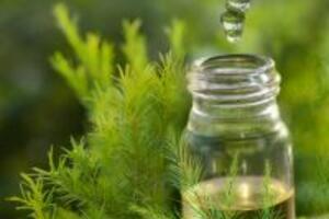 7 cách chữa bệnh zona tại nhà