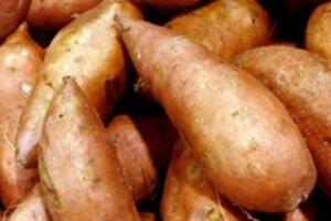 Những lợi ích không ngờ tới của khoai lang
