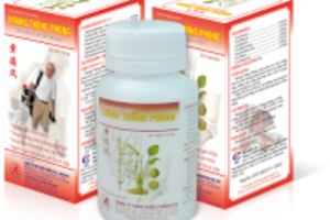 Hoàng thống phong cách hỗ trợ điều trị bệnh gout an toàn