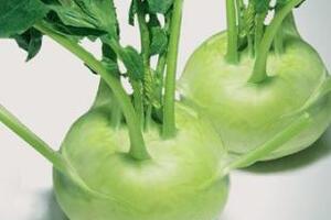 Lợi ích tuyệt vời của su hàoSu hào không chỉ là món ăn ưa thích mà còn giàu dinh dưỡng. Dưới đây là những lợi ích tuyệt vời của su hào đối với sức khỏe.