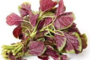 4 cách trị rụng tóc hiệu quả nhất khi chuyển mùa