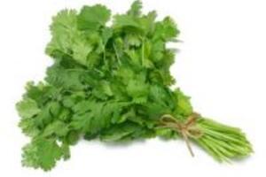 Lợi ích không thể bỏ qua của rau mùi