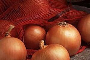 Hành tây, bổ thận tráng dươngĐông y cho rằng hành tây có vị thơm cay, tính ấm, không độc, chữa nhiều bệnh như tiêu khát, huyết áp cao, mỡ máu, xơ vữa thành mạch...