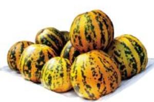 Công dụng không nên bỏ qua của dưa bở