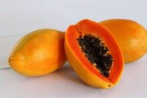 Công dụng và các bài thuốc từ đu đủ mà ít người biết