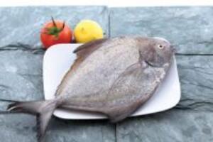 Cá chim những món ăn bài thuốc tốt cho sức khỏe