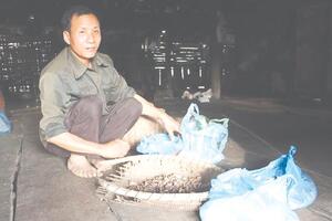 "Ông mụ" đất Lạng Sơn với bài thuốc chữa vô sinh trên núi đá