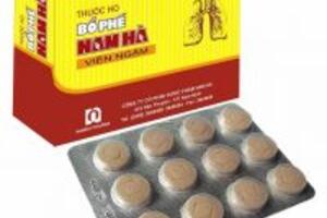 Thuốc ho Bổ Phế Nam Hà dùng cho bà bầu có an toàn hay không?