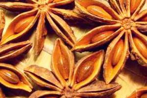 Cây hồi, bào chế Tamiflu kháng cúm gia cầmTheo Đông y, hồi được dùng chữa nôn mửa, đầy bụng, đau bụng, tiêu chảy, giải độc của thịt cá, tay chân nhức mỏi...
