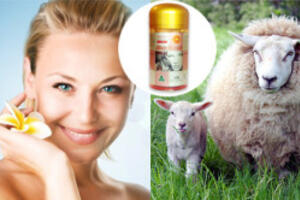 Nhau thai cừu Úc giải quyết mọi vấn đề cho làn da phụ nữ