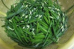 Tác dụng của cây hẹ