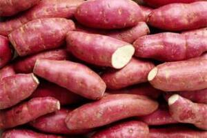 Khoai lang trị bệnh cúmTrong Đông dược người ta có kinh nghiệm sử dụng khoai lang để trị bệnh rất hiệu quả.