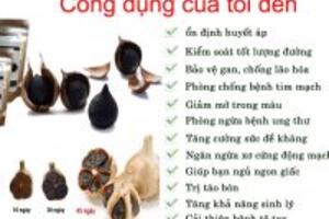 Tìm hiểu tác dụng của tỏi đen