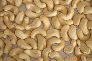 Hạt điều - món ăn ngăn ngừa nhiều bệnh tậtHạt điều có giá trị kinh tế cao vì ăn ngon và có chứa nhiều giá trị dinh dưỡng như chất sắt, phốt pho, magie, kẽm, và selenium.