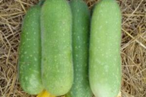 Tuyệt chiêu không để nám da “làm phiền” bạn