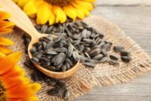 Các loại thức ăn bổ não tăng trí nhớ bạn nên dùng