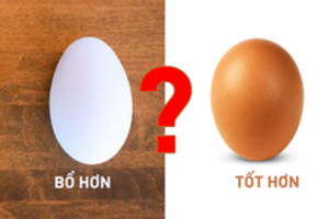 Trứng gà hay trứng vịt tốt hơn: Vì hiểu sai nên nhiều người đã bỏ phí cơ hội bồi dưỡng