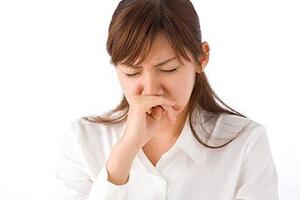 Trà xanh húng quế giúp phòng chống bệnh tật