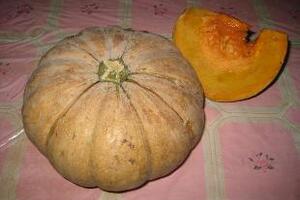 Công dụng của bí đỏBí đỏ có nhiều tính năng chữa bệnh. Khi bị bệnh về gan, nên ăn càng nhiều cùi bí đỏ sống càng tốt...