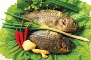 Cá rô đồng: Món ăn - bài thuốc hỗ trợ điều trị bệnh gút hiệu quả