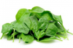 Công dụng của rau mồng tơi với sức khỏe người dùng