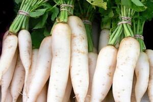 Ăn củ cải bạn đừng quên những điều này