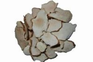 Công dụng của cây Phục linh dưới góc nhìn Đông y