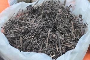 Nhân trần chữa bệnh vàng daTheo Đông y, nhân trần vị hơi đắng, tính hơi hàn, có công dụng thanh nhiệt, lợi thấp, lợi mật,...