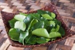 Bài thuốc tuyệt vời trị bệnh sốt cho người thân
