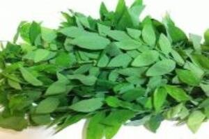 Những công dụng của rau ngót ít ai ngờ