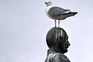 12 cách trị mụn lạ kỳ nhất thế giới