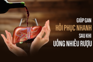 Lỡ uống nhiều rượu gây tổn thương gan, đây là cách giúp gan hồi phục hiệu quả