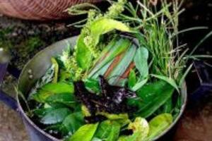 Cách trị cảm cúm bằng dân gian hiệu quả sau 3 ngày