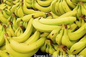 Thực phẩm giúp cường tráng mùa lạnhMùa lạnh thường tiêu hao nhiều năng lượng, khi bạn thấy cơ thể mệt mỏi, rệu rã, hết năng lượng, hãy bổ sung các thực phẩm dưới đây: