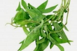 Rau răm giúp bạn se khít lỗ chân lông