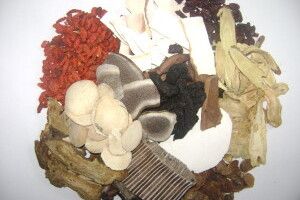 Bài thuốc Việt tỳ thang