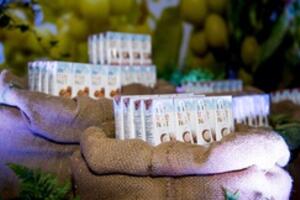 Sữa hạt có thay thế hoàn toàn sữa tươi được không?