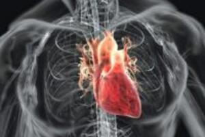 Bí quyết dùng thực phẩm giúp ngăn ngừa bệnh tim mạch