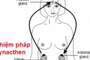 Nghiệm pháp Synacthen