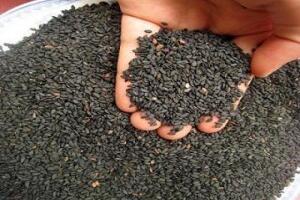 Công dụng của mè đen