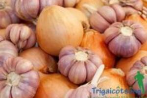 Những bài thuốc bổ gan, giải độc gan tốt nhất