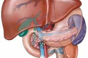 Bệnh viêm gan B có lây không ?