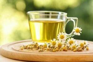 Trà hoa cúc thanh nhiệt và giải độc cho cơ thể