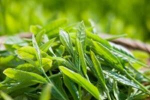 Tổng hợp 4 mẹo trị nám da hiệu quả chị em nên áp dụng