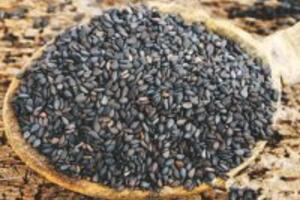 6 thực phẩm “đầu bảng” giúp phát triển trí thông minh của bé