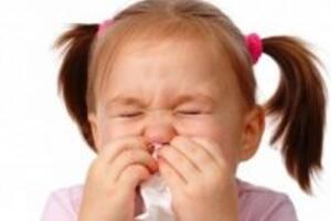 Đề phòng ho, ngạt mũi bằng dầu tràm