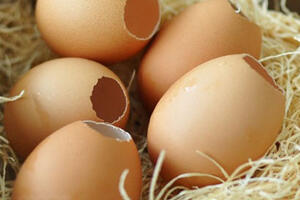 Da trắng, sạch tế bào chết với vỏ trứng